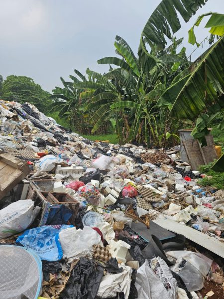 foto: Tumpukan sampah di TPS liar