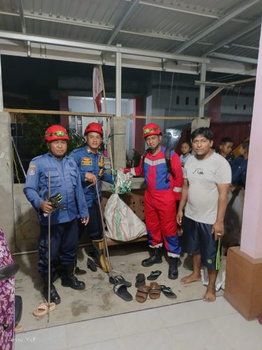 foto: Tim Damkar berhasil mengevakuasi ular sanca